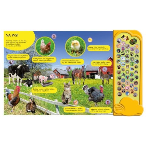 Wnętrze książeczki dźwiękowej „Na Wsi” z ilustracjami zwierząt gospodarskich i panelem dźwiękowym.
