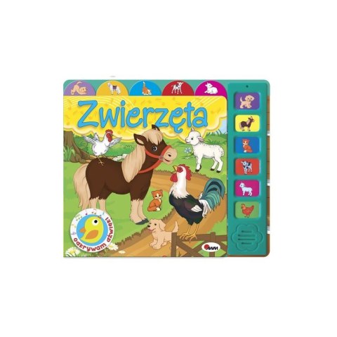 Książeczka dźwiękowa „Zwierzęta” z kolorowymi ilustracjami zwierząt i panelami dźwiękowymi dla dzieci
