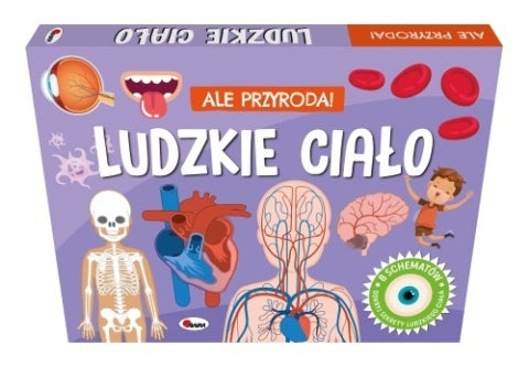 Okładka książki Ludzkie ciało z ilustracjami kości, organów i układów w ciele człowieka